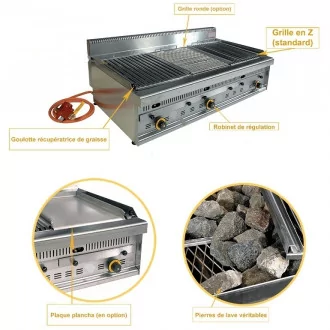 Barbecue professionnel gaz G1270 en details