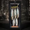 Cave Dry Ager Black pour maturer le poisson