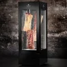 Cave de maturation DX2500