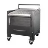 Barbecue professionnel fonte B800