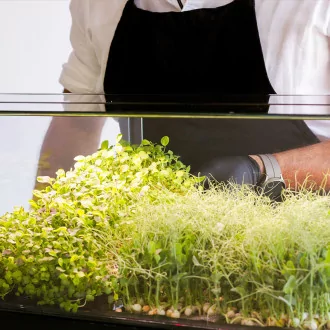 Minigro Pro Plus