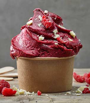 Pacojet glaces et sorbets