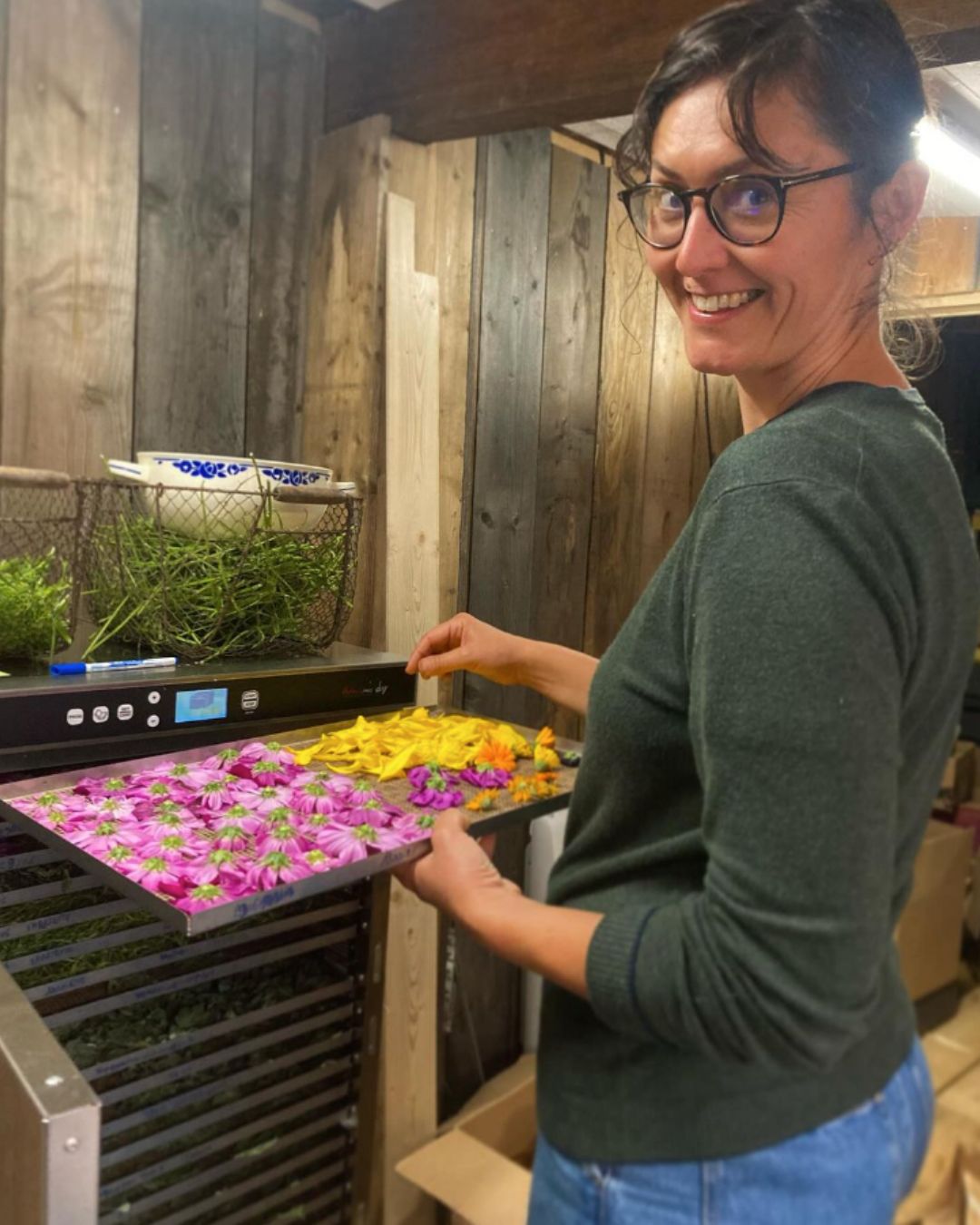 Pauline Pillot - productrice de fleurs et plantes aromatiques déshydratées