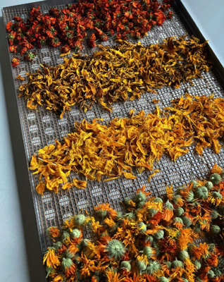 fleurs et plantes aromatiques déshydratées