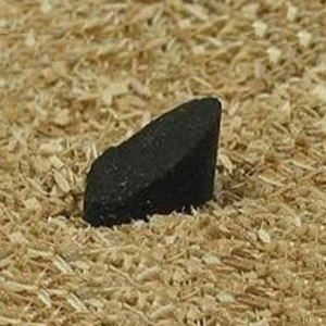 charbon allume sciure