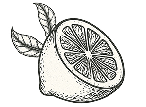 sciure de citronnier