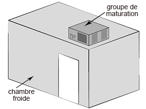 groupe de maturation Dry Ager