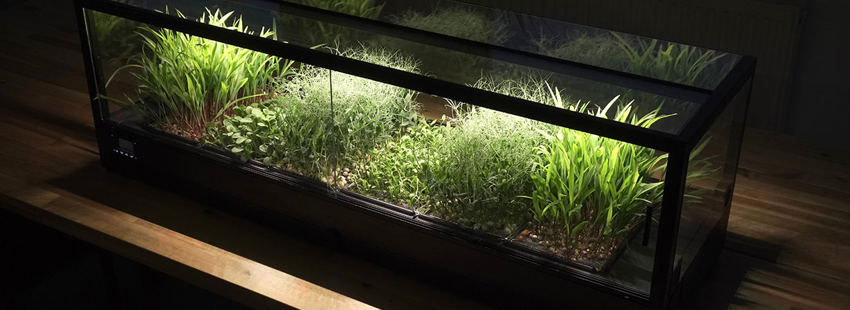 Potager intérieur professionnel​
