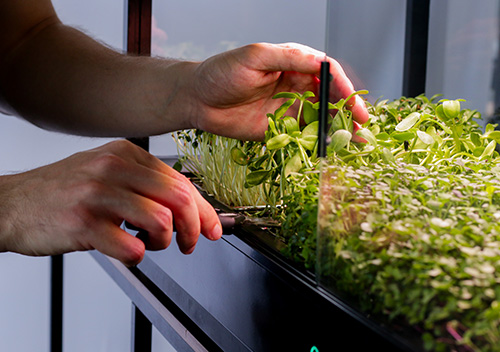 Découvrir le MINIGRO PRO+