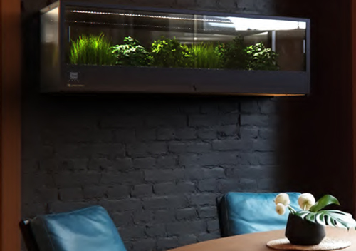 Minigro pro plus en salle
