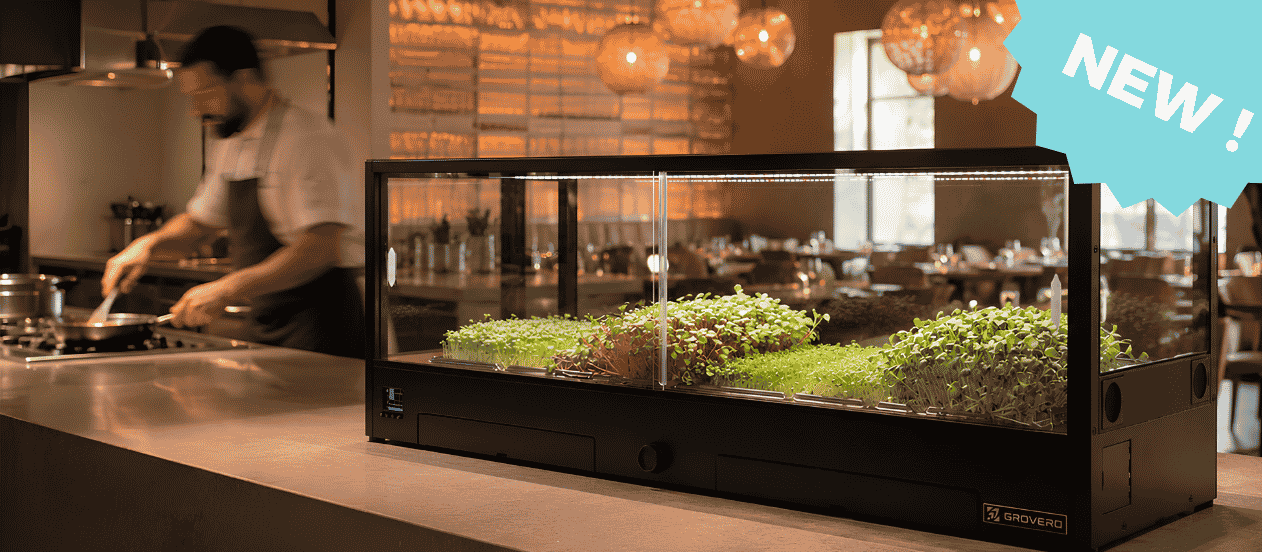 Micro pousses avec Minigro Pro Plus