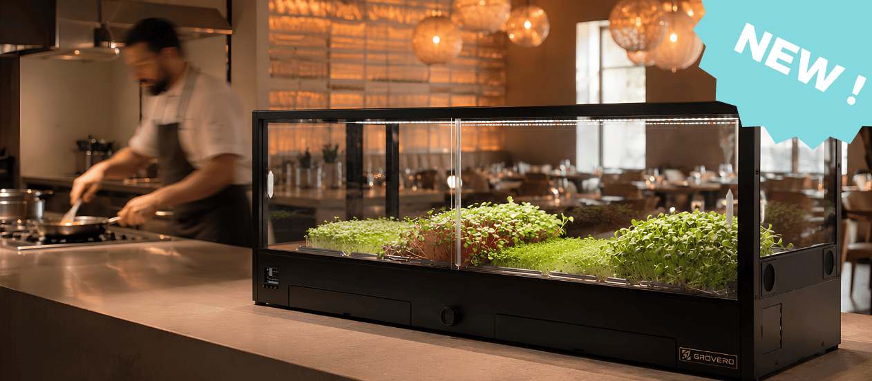 Micro pousses avec Minigro Pro Plus