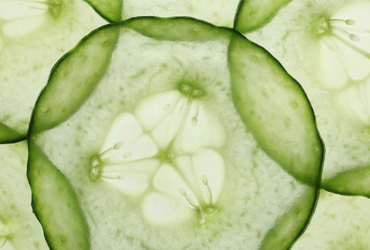 Comment bien utiliser un coupe-légumes professionnel ?